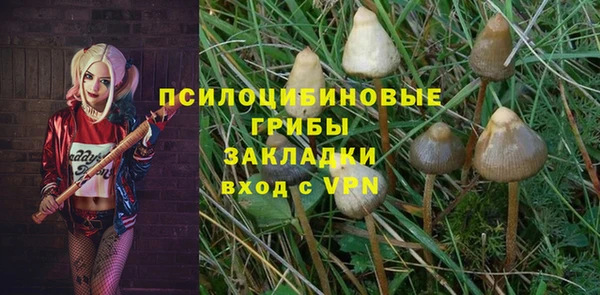 apvp Алексин
