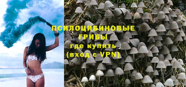 apvp Алексин
