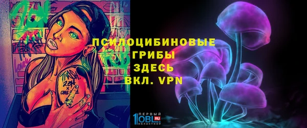 apvp Алексин
