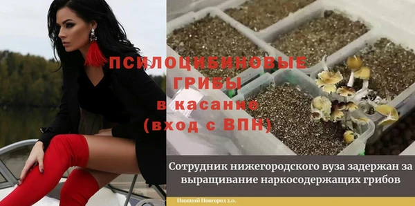 бошки Алзамай