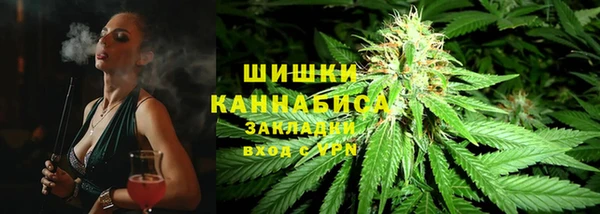индика Семилуки