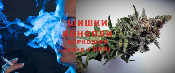 apvp Алексин